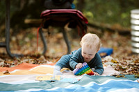10 - leelenau camping + land